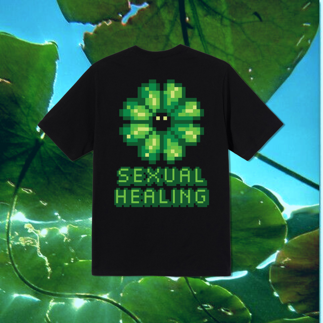 "Sexual Healing"(Unisex) Oversized T