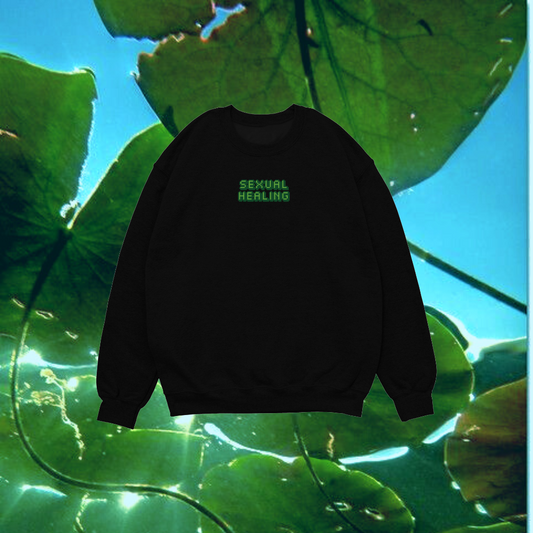 "Sexual Healing" Unisex Sweatshirt