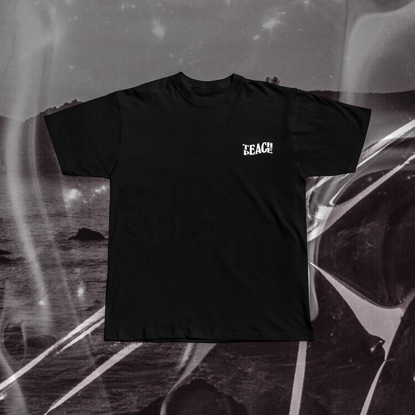 TEACH PEACE Regular T-shirt