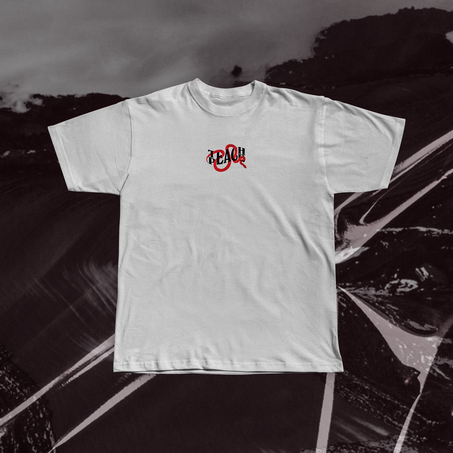 TEACH PEACE SNAKE Regular T-shirt