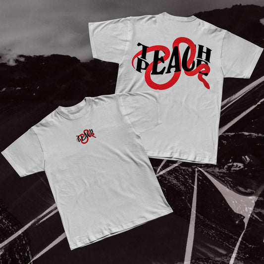 TEACH PEACE SNAKE Regular T-shirt