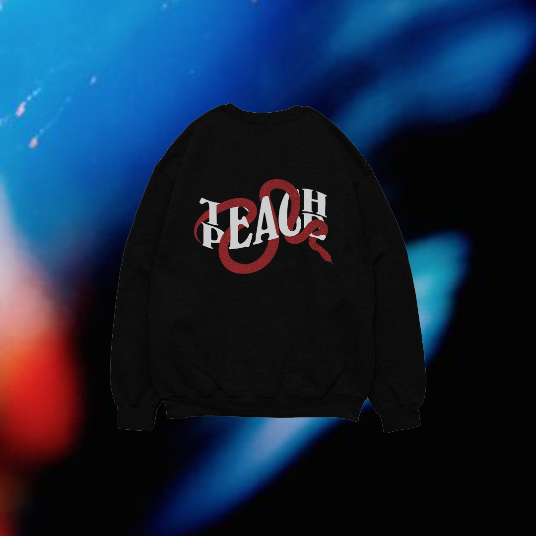 'Teach Peace Snake' Unisex Sweatshirt