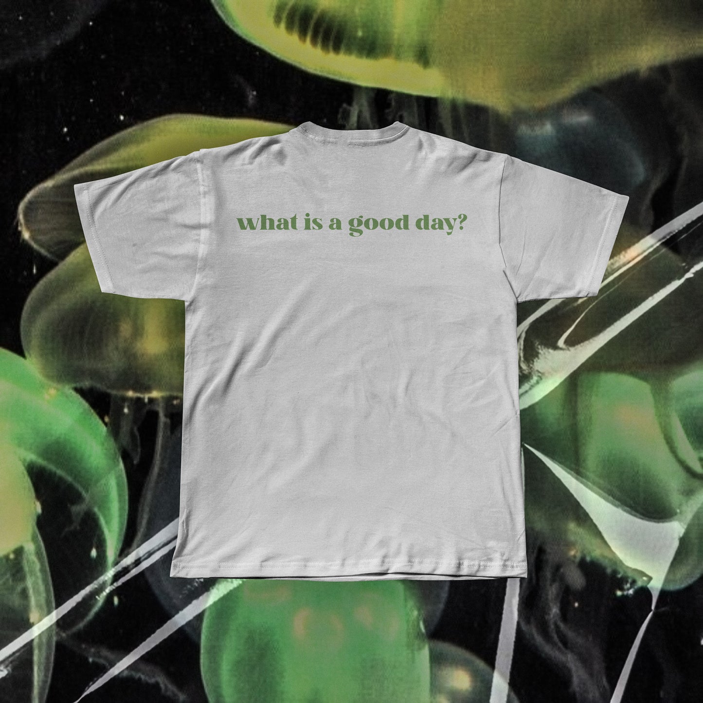WHAT IS A GOOD DAY Regular T-shirt