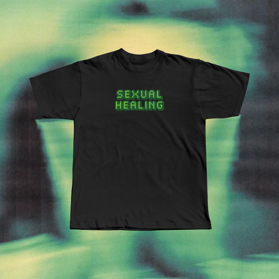 SEXUAL HEALING Regular T-shirt