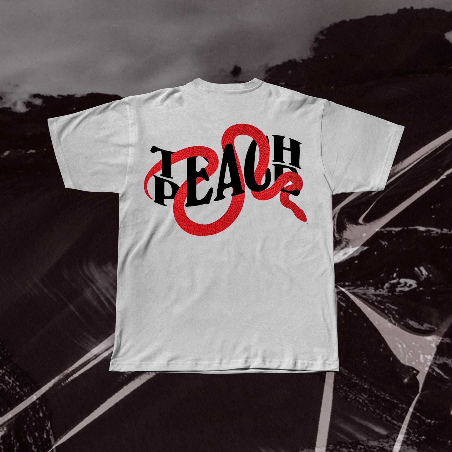 TEACH PEACE SNAKE Regular T-shirt